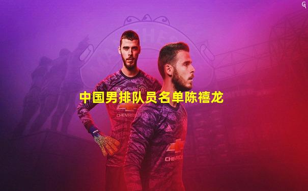 中国男排队员名单陈禧龙