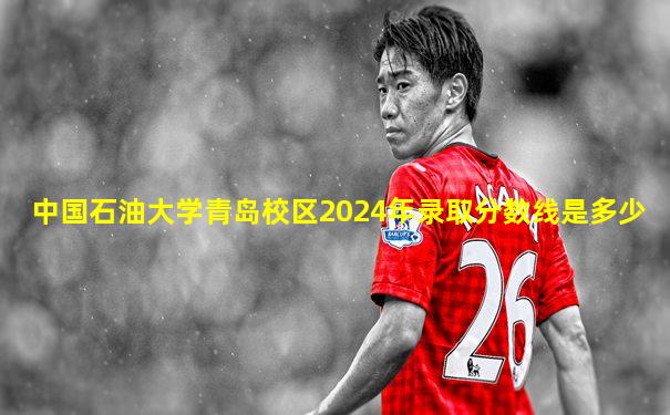 中国石油大学青岛校区2024年录取分数线是多少