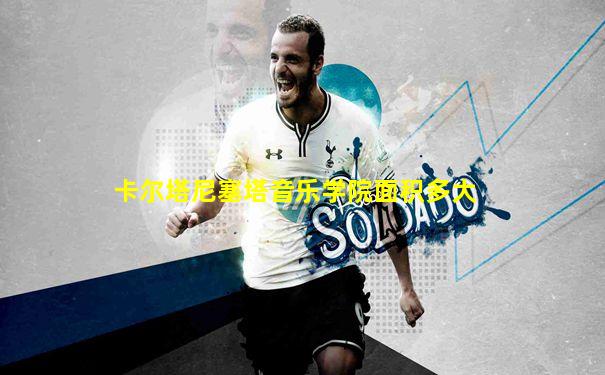 卡尔塔尼塞塔音乐学院面积多大