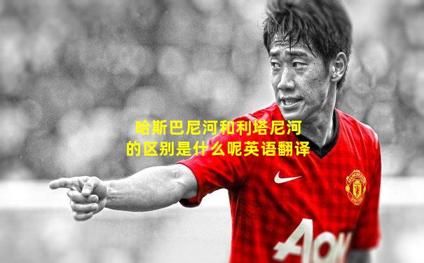 哈斯巴尼河和利塔尼河的区别是什么呢英语翻译