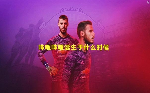 哔哩哔哩诞生于什么时候