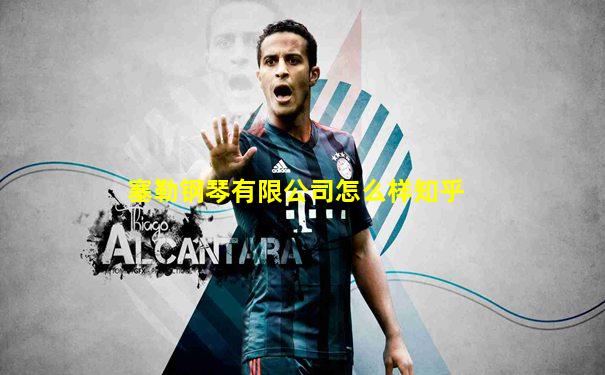 塞勒钢琴有限公司怎么样知乎