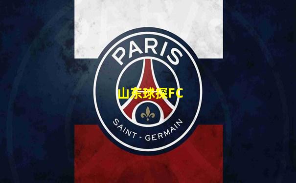 山东球探FC