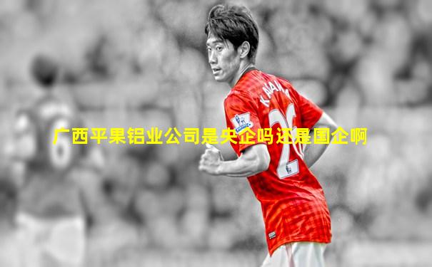 广西平果铝业公司是央企吗还是国企啊