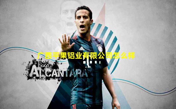 广西平果铝业有限公司怎么样