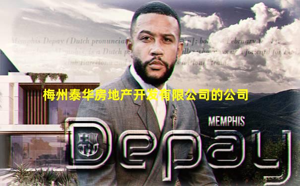 梅州泰华房地产开发有限公司的公司