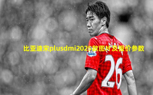 比亚迪宋plusdmi2025款图片及报价参数