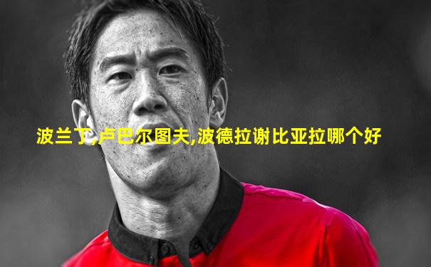 波兰丁,卢巴尔图夫,波德拉谢比亚拉哪个好