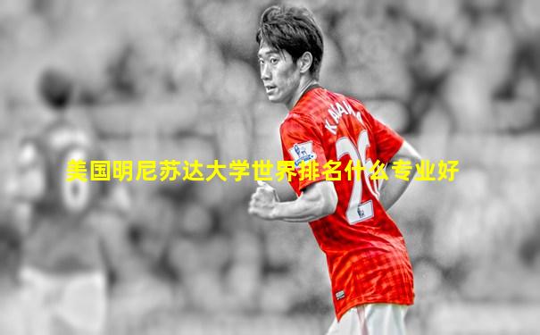 美国明尼苏达大学世界排名什么专业好